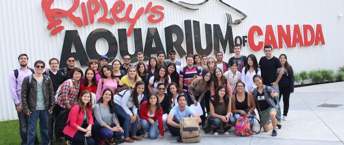 Sprachschüler Toronto Ripleys Aquarium