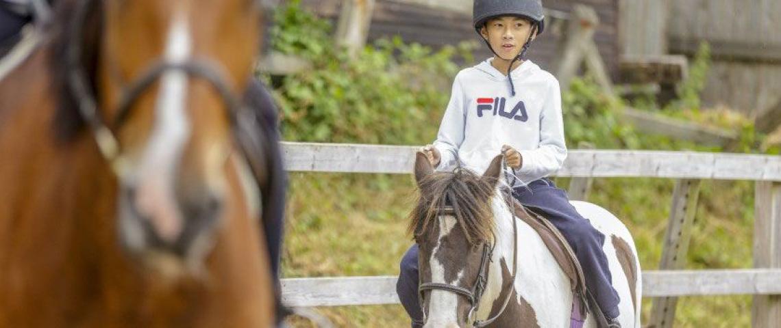 Freizeitaktivität Reiten bei der Sprachreise für Schüler in Brighton.